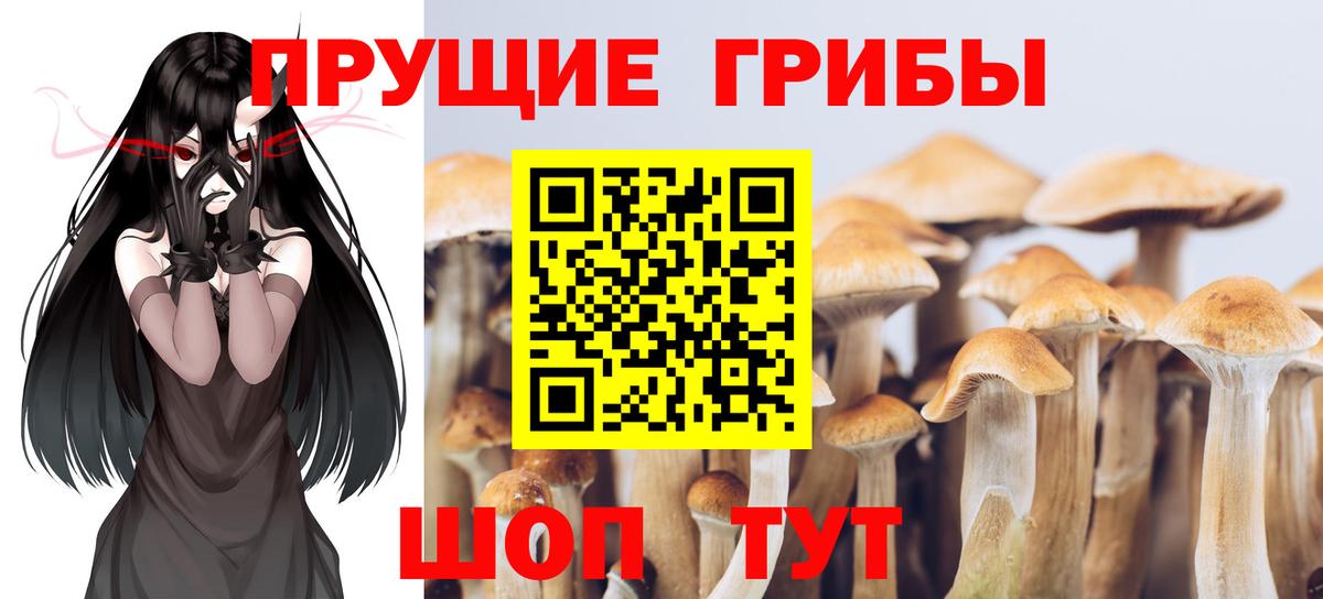 Псилоцибиновые грибы Magic Shrooms  Галлюциногенные грибы GOLDEN TEACHER  Верхняя Пышма  Вход с VPN 